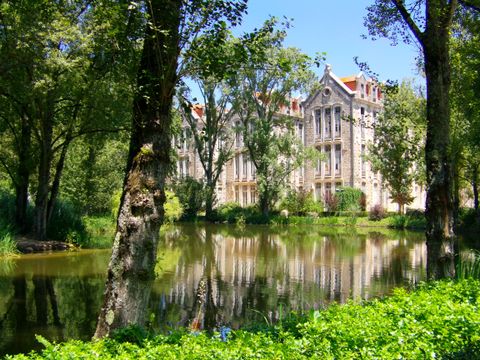 Camping Orbitur Foz de Arelho - Camping Région de Lisbonne - Image N°8