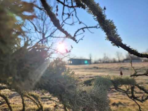 MOBILHOME 4 personnes - prix inclus pour 4 participants