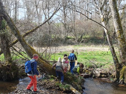 Camping La Semnadisse - Camping Creuse - Image N°3