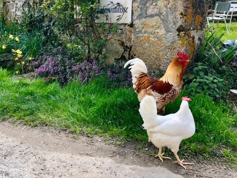 Camping La Semnadisse - Camping Creuse - Image N°21