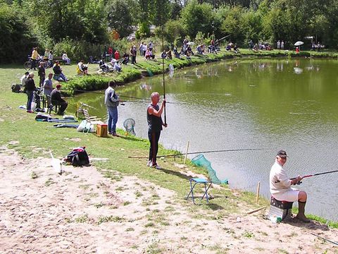 CARAVANING L'OREE DU BOIS CARAVANING L'OREE DU BOIS - Camping Pas-de-Calais - Image N°6