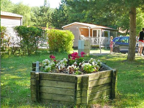 CARAVANING L'OREE DU BOIS CARAVANING L'OREE DU BOIS - Camping Pas-de-Calais - Image N°8