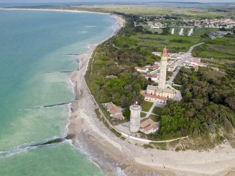 VVF Villages - Ars Ile de Ré - Ars en Ré VVF Villages - Ars Ile de Ré - Ars en Ré - Camping Charente-Maritime - Image N°11