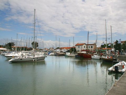 VVF Villages - Ars Ile de Re - Ars en Re - Camping Charente-Maritime - Image N°6