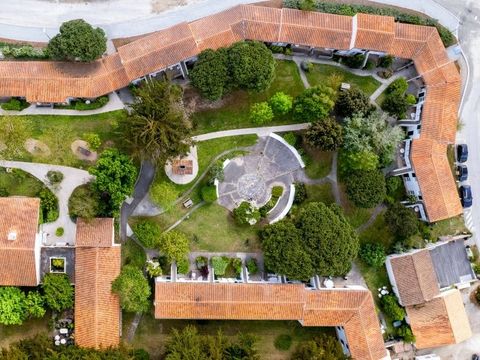 VVF Villages - Ars Ile de Ré - Ars en Ré VVF Villages - Ars Ile de Ré - Ars en Ré - Camping Charente-Maritime - Image N°12