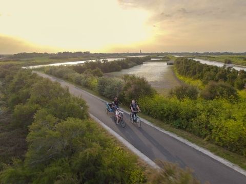 VVF Villages - Ars Ile de Ré - Ars en Ré VVF Villages - Ars Ile de Ré - Ars en Ré - Camping Charente-Maritime - Image N°10