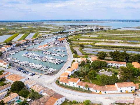 VVF Villages - Ars Ile de Ré - Ars en Ré VVF Villages - Ars Ile de Ré - Ars en Ré - Camping Charente-Maritime - Image N°13