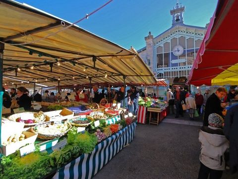 VVF Villages - Ars Ile de Ré - Ars en Ré VVF Villages - Ars Ile de Ré - Ars en Ré - Camping Charente-Maritime - Image N°9