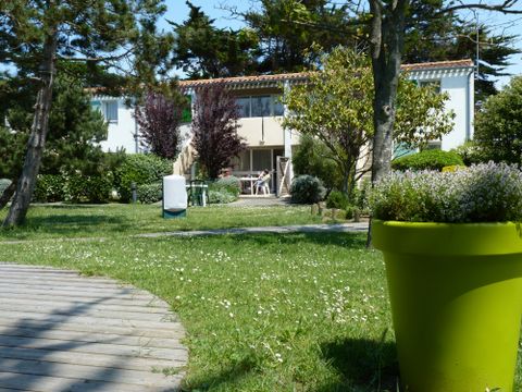 VVF Villages - Ars Ile de Re - Ars en Re - Camping Charente-Maritime - Image N°11