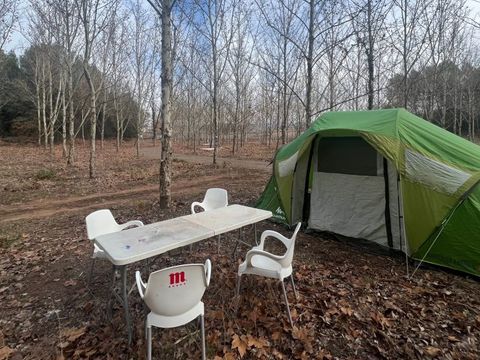 Oller del Mas - Camping Barcelone - Image N°11