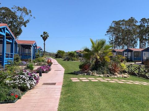 Camping Costa do Vizir - Camping Alentejo - Image N°8