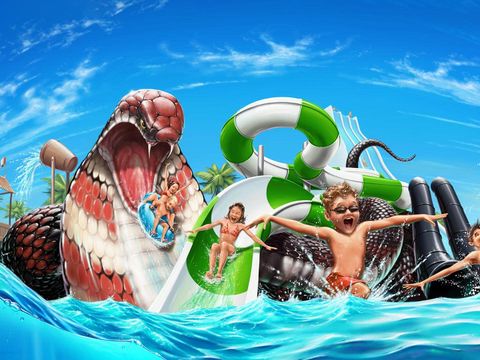 Terme Olimia - Camping Slovenie - Image N°2