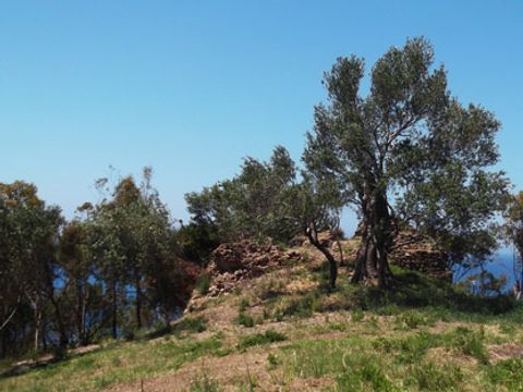 Villaggio Costa del mito - Camping Salerne - Image N°35