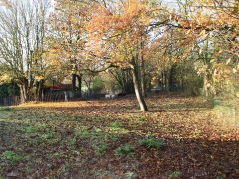 Domaine du souvenir - Camping Vendée - Image N°2