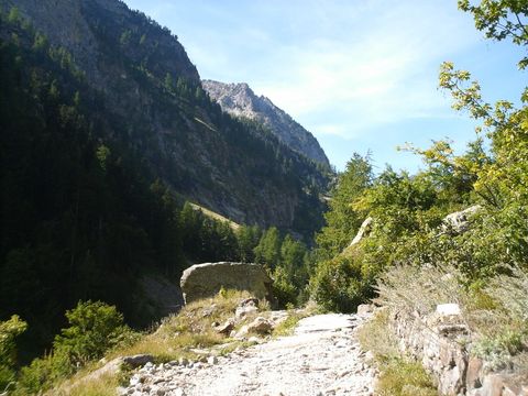 Camping Il Melo - Camping Coni - Image N°11