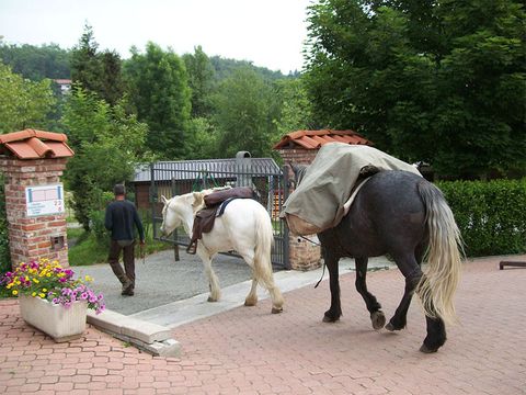 Camping Il Melo - Camping Coni - Image N°4