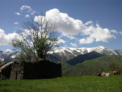 Camping Il Melo - Camping Coni - Image N°12