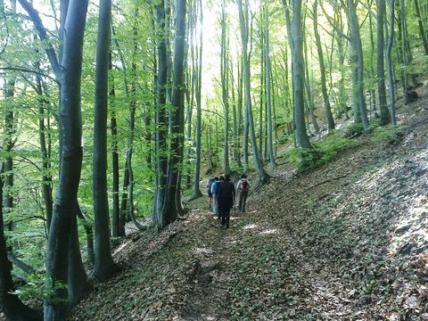 Camping Il Melo - Camping Coni - Image N°10