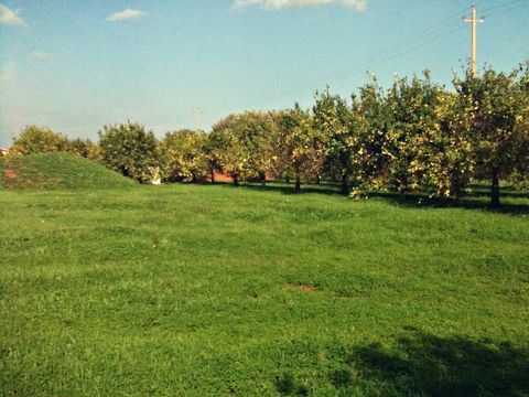 Agriturismo Terra dei Limoni - Camping Syracuse - Image N°10