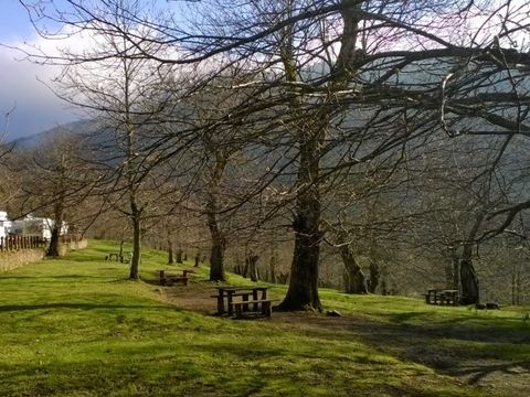 Camping Camaldoli - Camping Arezzo - Image N°2