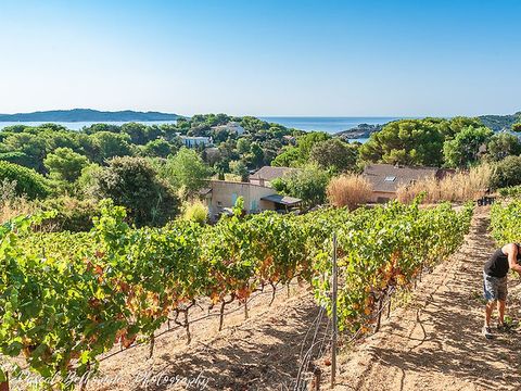 Domaine de la Presqu'île de Giens - Camping Var