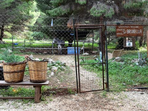 Camping Village El Bahira - Camping Trapani - Image N°36