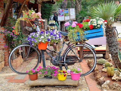 Camping Village El Bahira - Camping Trapani - Image N°27