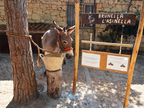 Camping Village El Bahira - Camping Trapani - Image N°9