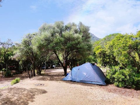 Camping Agriturismo Vignavecchia - Camping Lecce - Image N°14