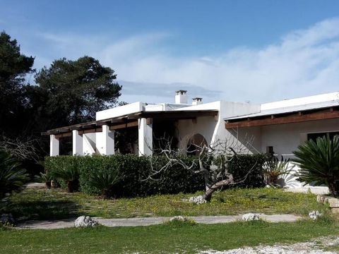 Camping Agriturismo Vignavecchia - Camping Lecce - Image N°5
