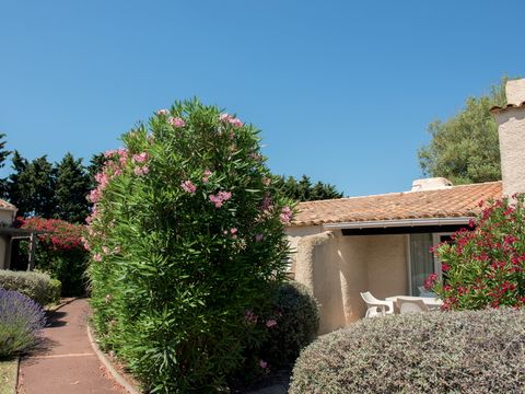 SOWELL - Family Cap d'Agde - Camping Hérault - Image N°21