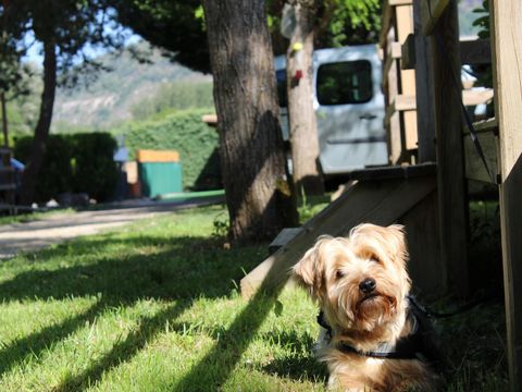 Camping Le Taranis - Camping Aveyron - Image N°15