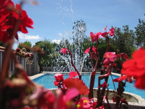 Camping Virgen del Mar - Camping Cantabria - Image N°29