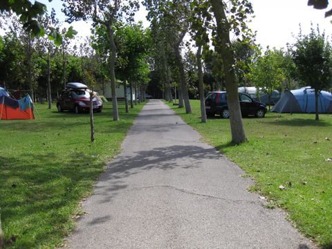 Camping Virgen del Mar - Camping Cantabria - Image N°42
