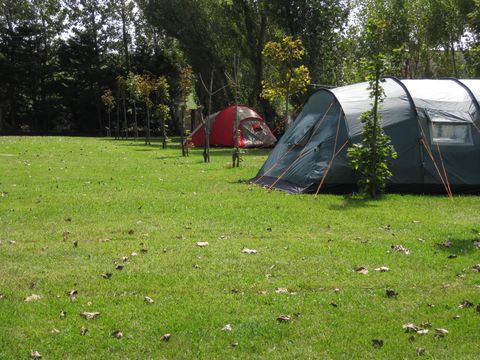 Camping Virgen del Mar - Camping Cantabria - Image N°41