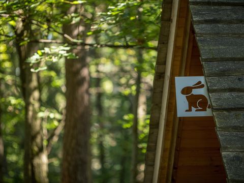 Hébergement 3 personnes - Glamping Hut Forest Bed