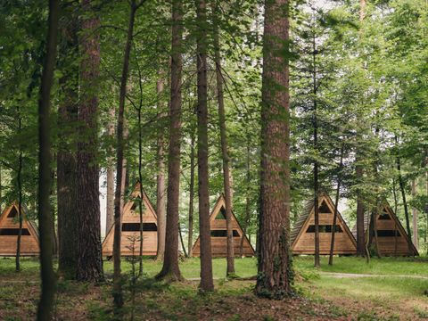 Hébergement 3 personnes - Glamping Hut Forest Bed