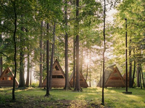 Hébergement 3 personnes - Glamping Hut Forest Bed