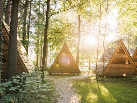 Hébergement 3 personnes - Glamping Hut Forest Bed