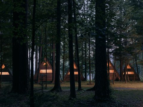 HÉBERGEMENT INSOLITE 3 personnes - Glamping Hut Forest Bed
