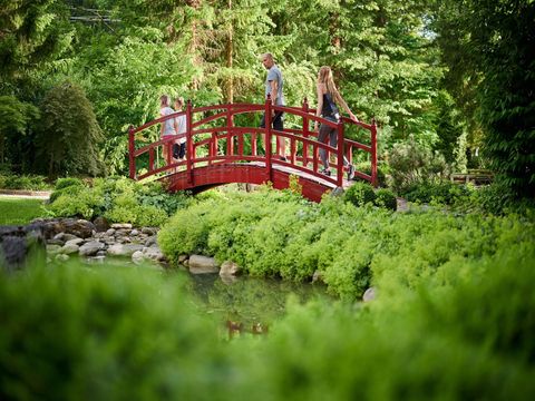 Forest Camping Mozirje - Camping Slovenie