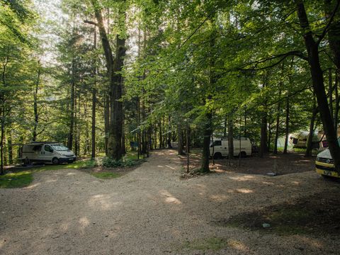 Forest Camping Mozirje - Camping Slovenie - Image N°10