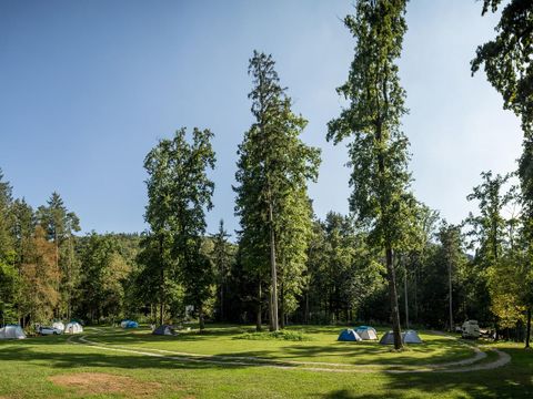 Forest Camping Mozirje - Camping Slovenie - Image N°8