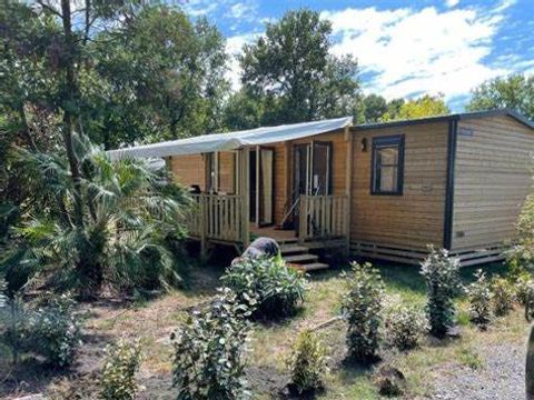Mobilhome 4 personnes - Nest 33.2