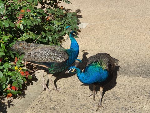 Camping Moulin de David - Camping Dordogne - Image N°49