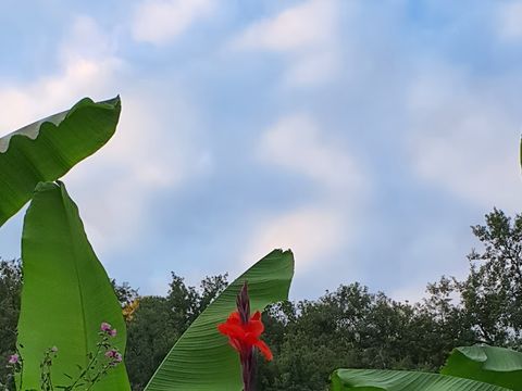 Camping Moulin de David - Camping Dordogne - Image N°6