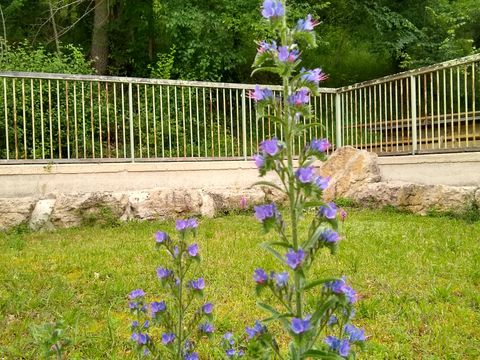 Camping Moulin de David - Camping Dordogne - Image N°82