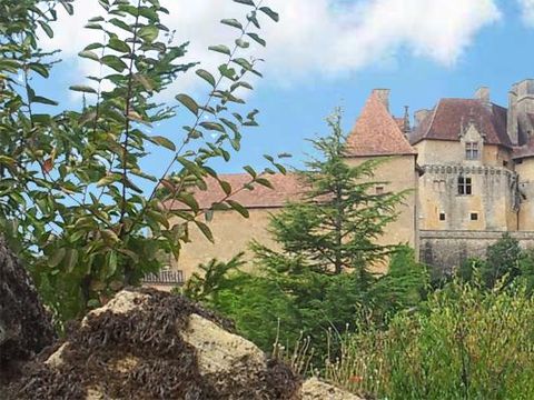 Camping Moulin de David - Camping Dordogne - Image N°32
