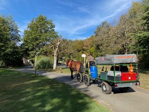 Camping Moulin de David - Camping Dordogne - Image N°102