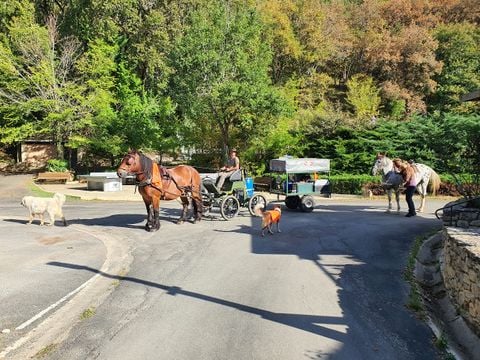 Camping Moulin de David - Camping Dordogne - Image N°25